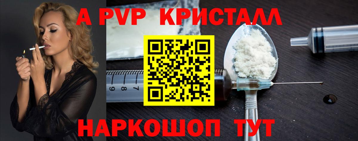 Альфа ПВП СК КРИС Аргун