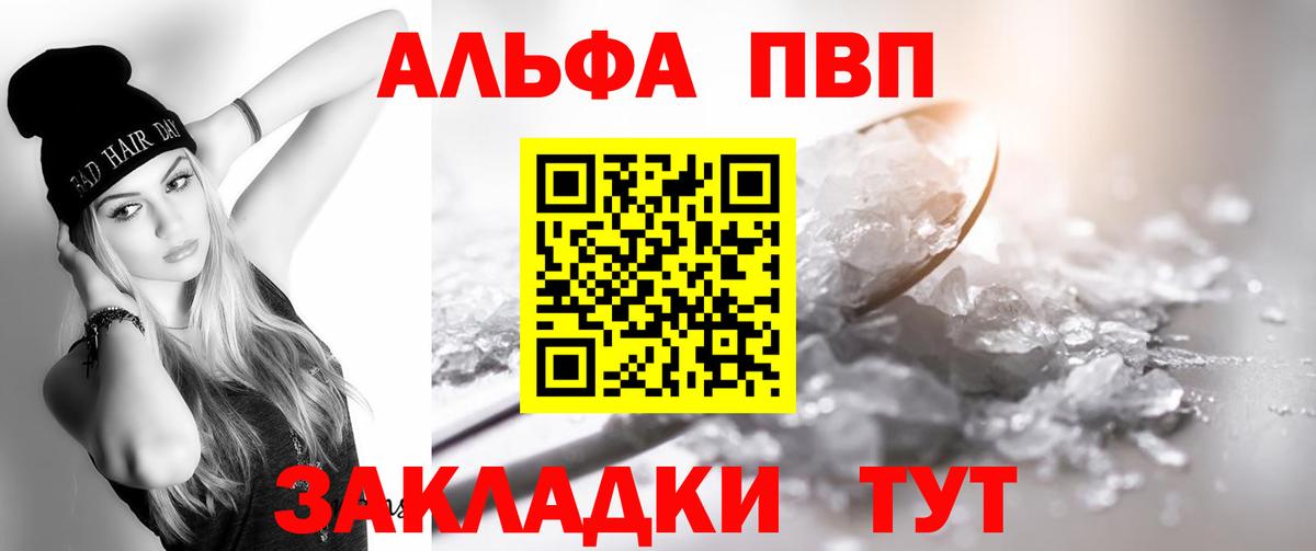 A PVP СК КРИС Аргун