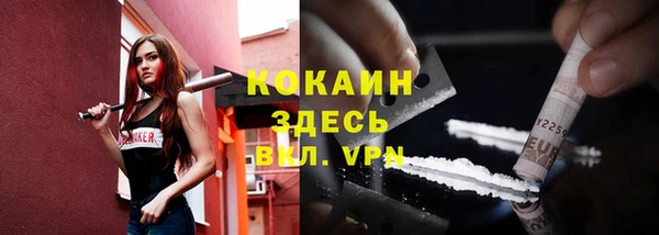 PSILOCYBIN Бородино