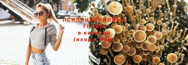 альфа пвп Верхний Тагил
