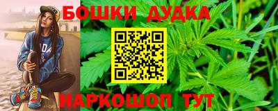 МДПВ Шадринск