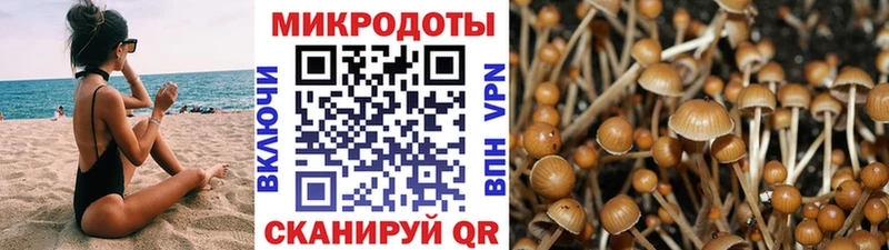 Галлюциногенные грибы GOLDEN TEACHER  Купить закладки  Аргун 