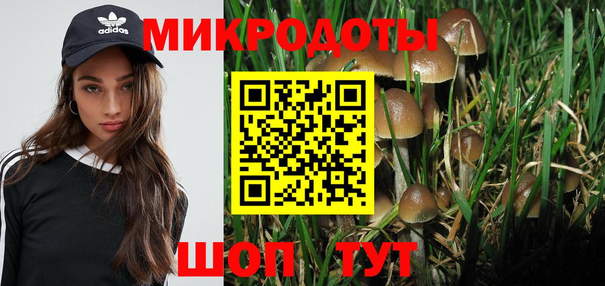 Псилоцибиновые грибы ЛСД  Псилоцибиновые грибы Psilocybe  Аргун 