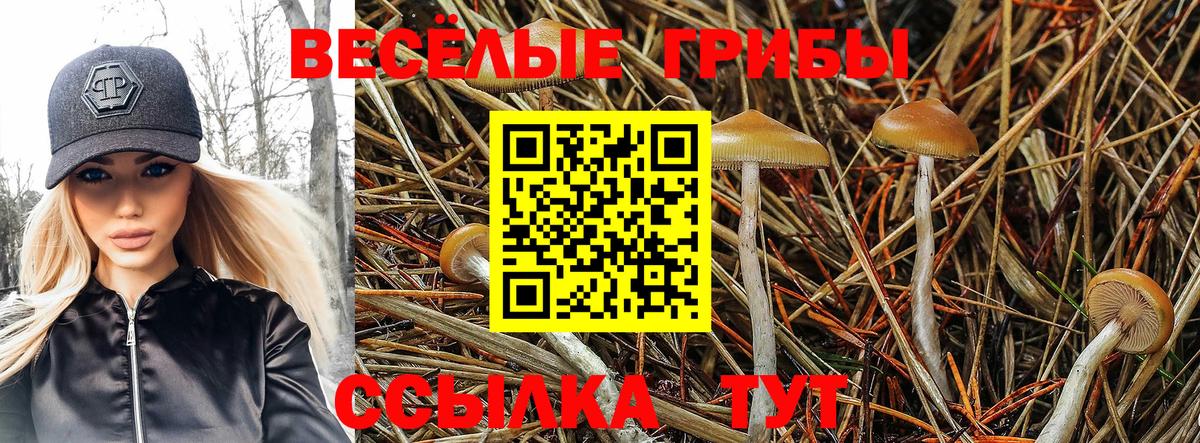 Галлюциногенные грибы ЛСД Аргун