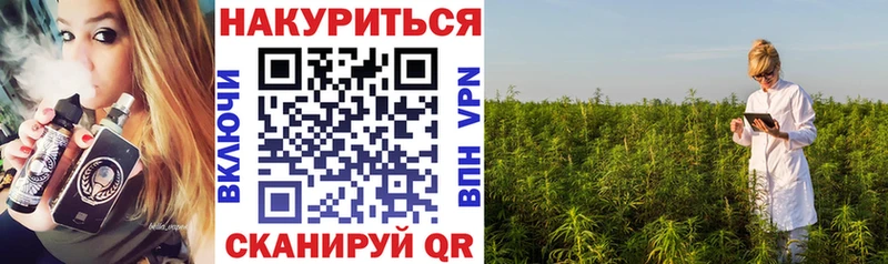 Канабис VHQ  Купить закладки  Аргун 